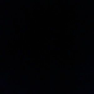 Meet your Posher, Allie